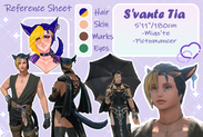 S&#39;vante ref sheet